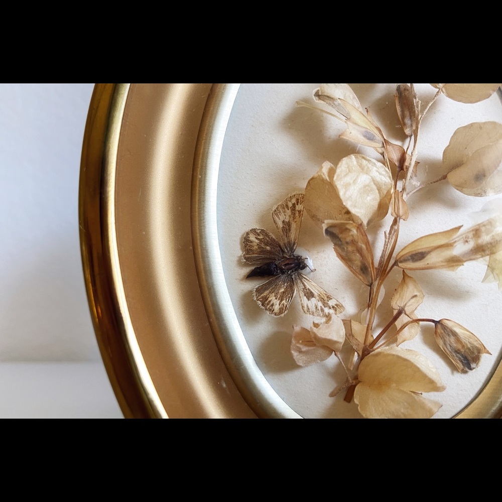 Botanical Frame - Picture 4 of 4